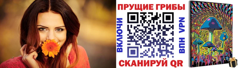 где продают наркотики  kraken ТОР  Псилоцибиновые грибы Psilocybine cubensis  Тында 